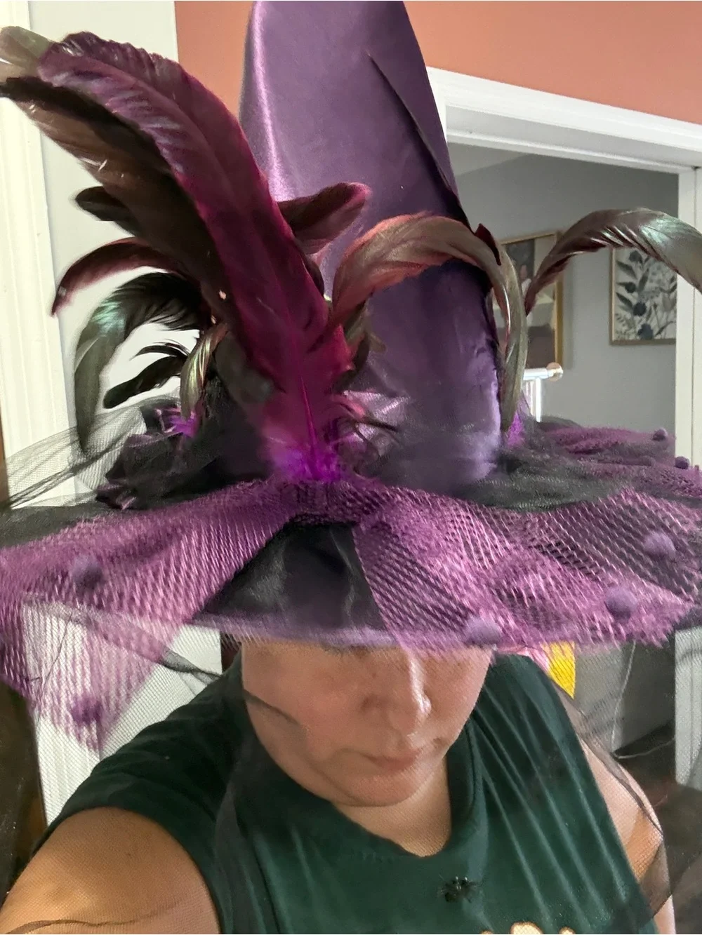 Halloween Purple Feathered Witch Hat - Women Accessories